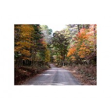 Oldtown Orleans Rd Allegany County Maryland in White Mat